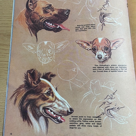 How to Draw and Paint Animal Expressions Walter J Wilwerding 1950s Vtg Art Book - Picture 5 of 5